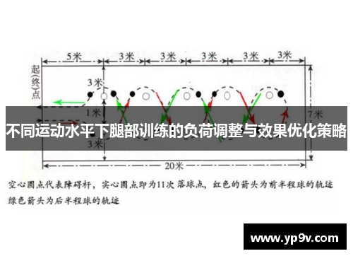 不同运动水平下腿部训练的负荷调整与效果优化策略